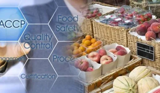 HACCP Level 3 Food Safety