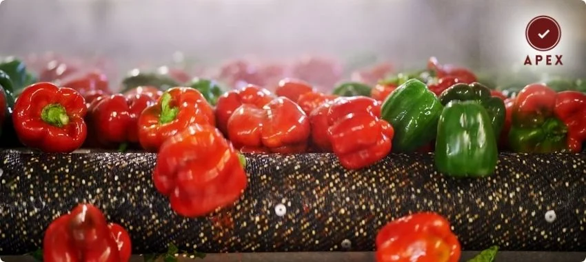  ISO 22000 Certification in doha