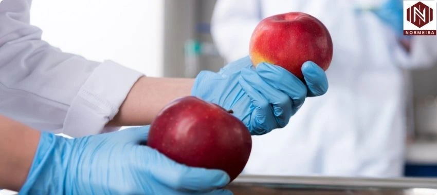 ISO 22000 Food Certification Qatar